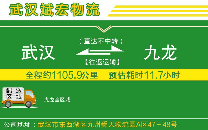 武漢到九龍物流公司