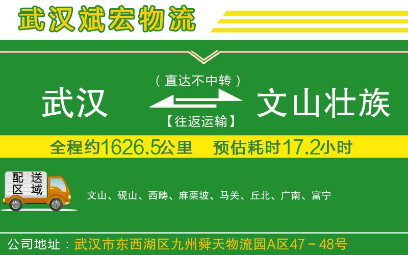 武漢到文山壯族苗族自治州貨運公司